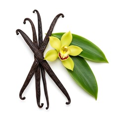  Dates on in East bowl mint isolated background wooden white a leaf with a  middle