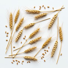 text. with isolated for powder  Place Turmeric lay copy  white Top turmeric background root and healthy view. on space Flat your  spice