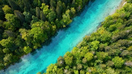 Fototapeta premium Stunning aerial view of a turquoise blue river flowing through a lush green forest