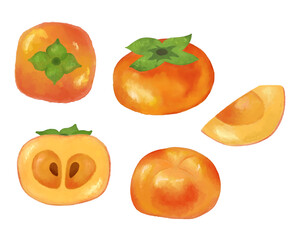 柿 水彩手描きフルーツイラスト チラシ・ポスター・Webデザインに使える装飾イラスト素材