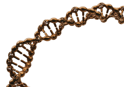 Isolated DNA molecule structure, genetic material, medical research, pharmaceutical studies