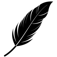 Fototapeta premium Black quill feather silhouette vector