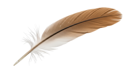 Isolated tan brown feather with white base and textured barbs on a solid neutral backdrop