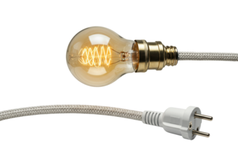 Isolated decorative Edison light bulb with European electric plug and braided cable