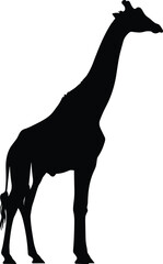 Black silhouette of standing giraffe with long neck and legs, isolated wildlife animal vector illustration for safari, nature, and zoo themes