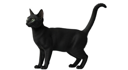 Isolated Black Cat in Full Length with Upright Tail and Glowing Eyes, Side View