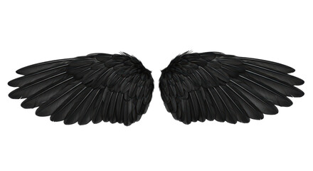 Isolated pair of black wings, dark feathers, fantasy, gothic, costume, mystical, angels