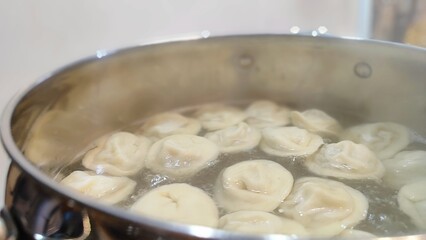 cooking in the kitchen, Pelmeni (or Russian dumplings)