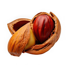 fresh open nut peeled and roasted with husk isolated on white background
