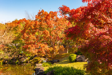 Naklejka premium Momiji autumn season in Koko-en gardens, Himeji, Japan