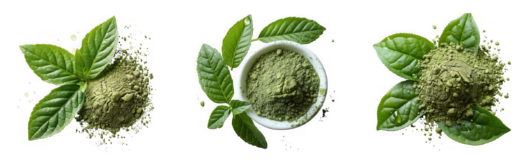 Collection of fresh and dried mint leaves isolated on transparent background, showcasing the herbs versatility and aromatic qualities