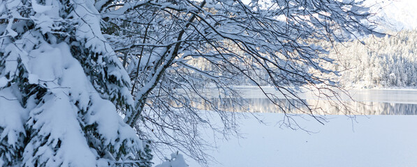Winter trees and mountain reflection in the lake