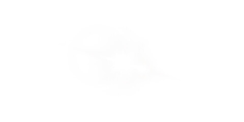 Shiny White Star Light Flare. White Glow Sparkle Effect for Magic Design Elements