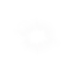 Shiny White Star Light Flare. White Glow Sparkle Effect for Magic Design Elements