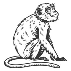 Stylized black and white illustration of a curious monkey sitting and looking upwards with a long tail