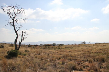 Landscape photo of stunning views from the Magaliesberg mountains, with interesting rock formations. trees, and water pools. 