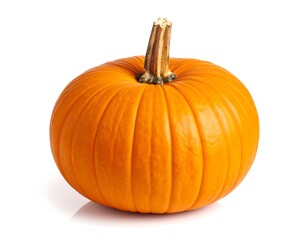 Single orange pumpkin against white