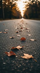 Autumnal pathway paved with fallen leaves, showcasing the golden hues of the season and the soft sunlight filtering through a tunnel of trees.