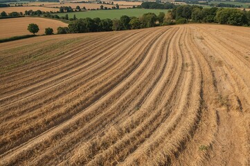 A scenic view of farmland with crops ready for harvest in section A. Design a farm setup with cultivated fields for agriculture. Banner layout template for digital flyer or brochure.