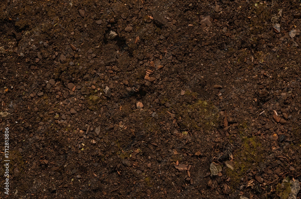 Poster background texture of soil with peat moss