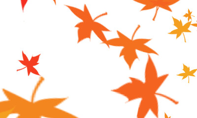 Falling autumn maple leaves in vibrant orange and yellow hues isolated on transparent background