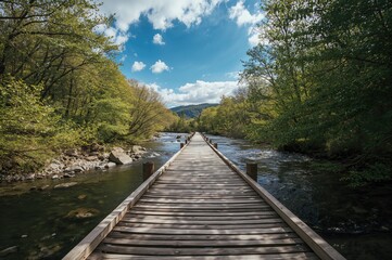 Fototapeta premium Scenic spring woodland with a rustic wooden bridge over the stream