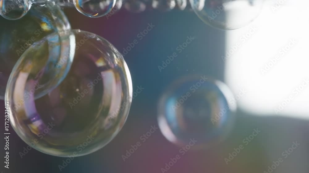 Poster abstract colorful bubbles in bright light - close-up shot of several iridescent soap bubbles, hangin