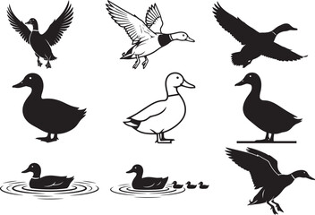 Duck Silhouette Vector Pack | Flying, Swimming, Hunting, Wildlife Bird Icons