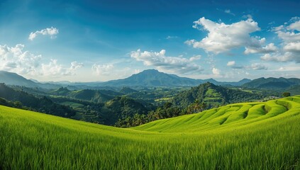 Wide view of lush rice paddies against a mountainous backdrop at terraced fields