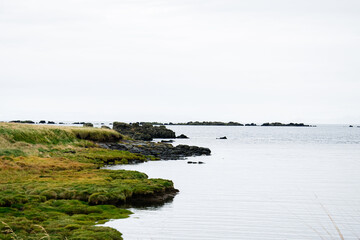 Tranquil coastal landscape with grassy shore and rocks in Iceland