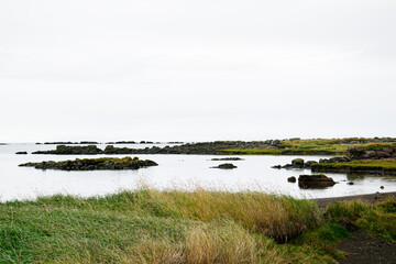 Scenic coastal landscape in Iceland with grassy shores and rocky islets