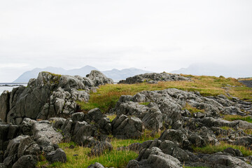 Scenic Icelandic coast with rocky terrain and distant mountains under cloudy skies