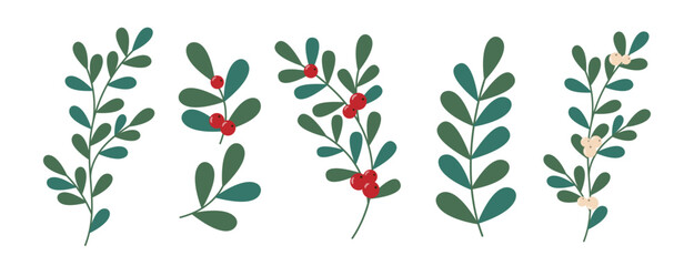 Mistletoe Leaves or Branch Set with red and White Berries on transparent background. Branches and Leaves of Plants with Red Berries. Vector Illustration. Christmas Element Decor.