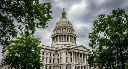 Photorealistic Whisk with Flour and Eggs on a Wooden Table - Ingredient Preparation for Baking