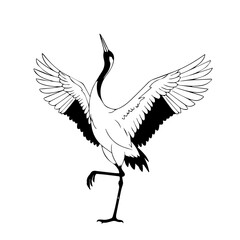 Obraz premium Elegant black and white line art of a Japanese crane dancing with outstretched wings.