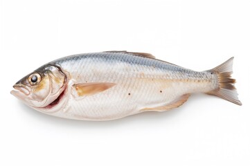 Isolated Raw Fish With Bones on a White Background
