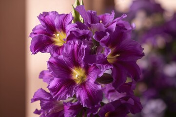 Cultivating purple lisianthus in a managed setting
