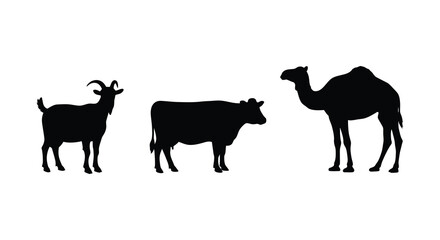 A goat cow and camel stand together as black shapes silhouette
