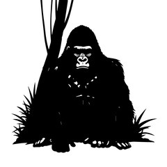 Silhouette of a Powerful Gorilla Sitting with Intense Stare and Fur Texture.