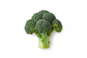 Close-up Shot of Fresh Broccoli Against a Plain White Backdrop