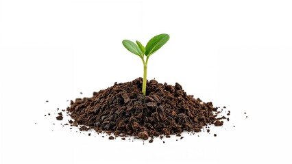 Fresh seedling breaking through rich earth on a plain white backdrop.