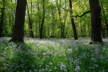 Obraz premium Immerse in the peaceful harmony of the natural world, where lush greens create a vivid canvas of calm and vitality.