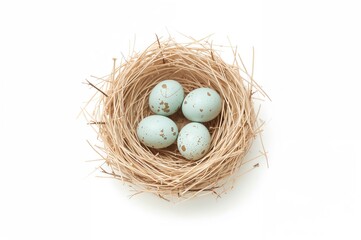 Obraz premium Four eggs resting in a nest against a white background