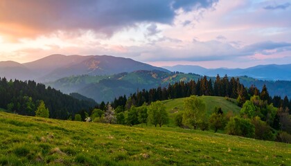 Mountain meadow sunset panorama
