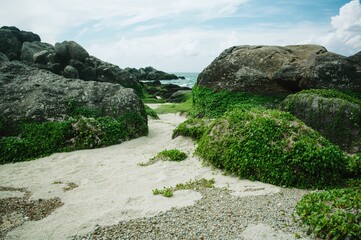 Background Image of a Stony Shoreline Featuring Moss, Sand, and Various Rocks with a Soft Focus Foreground