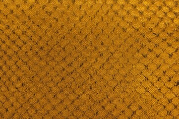 Golden snake skin pattern backdrop