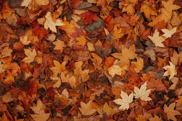 Close-up of interlaced autumn leaves creating a vivid, multicolored ground with hues of brown, orange, yellow, and beige. Natural texture for a fall-themed backdrop. Bright and striking colors with