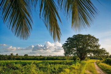 Naklejka premium Countryside scene featuring palm fronds
