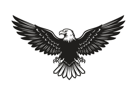 Bald eagle soaring in air monochrome illustration. Isolated, vector of eagle engraving style