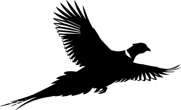 Pheasant silhouette, Flying pheasant silhouette, Pheasant SVG, Pheasant silhouette clip art, Bird silhouettes, Bird SVG, Bird clip art